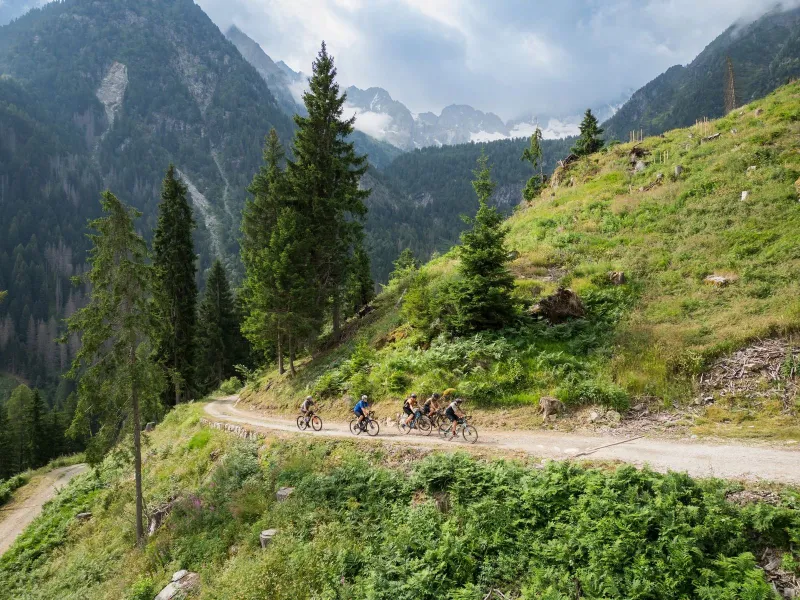 Una strada bianca a mezza costa sotto le cime della Val di Sole, con un gruppo di ciclisti che sale tra prati e abeti