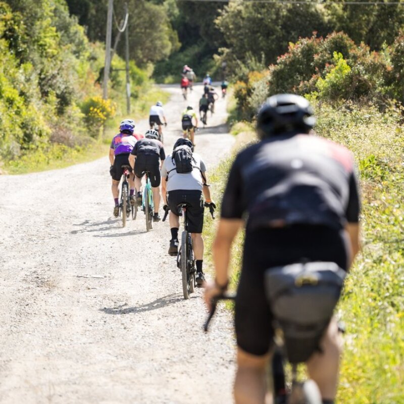 gruppo-ciclisti-sentiero-ghiaia-natura.jpg