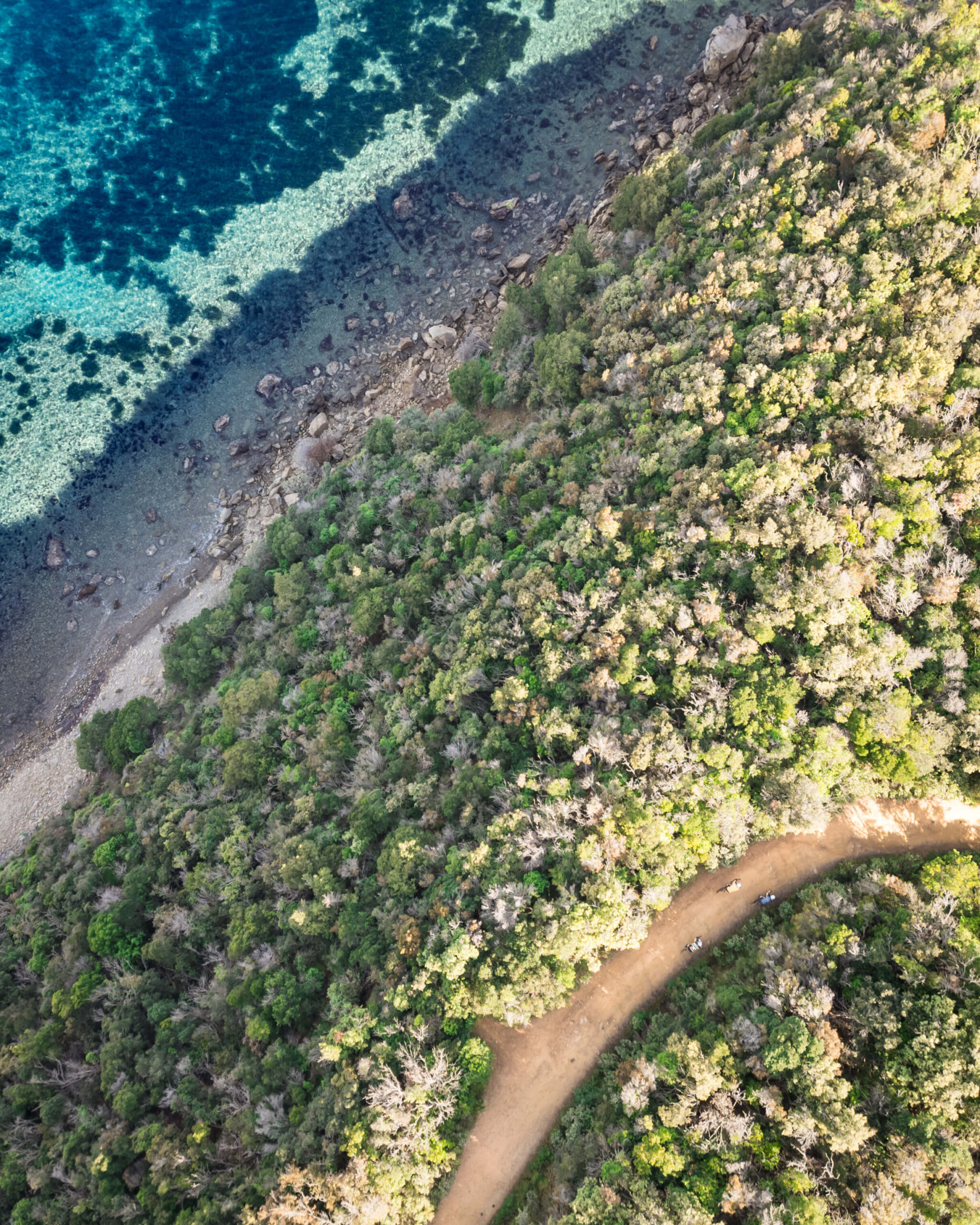 Veduta dall’alto di un tratto di costa con mare cristallino e fondali rocciosi, in cui un sentiero sterrato attraversa un fitto bosco